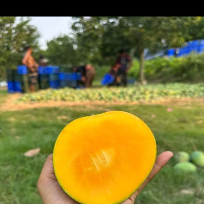 গোবিন্দভোগ -20 kj
